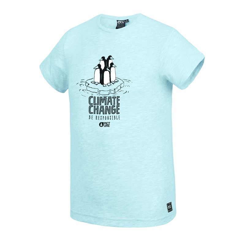 
T-shirt Picture Organic Clothing été 2020